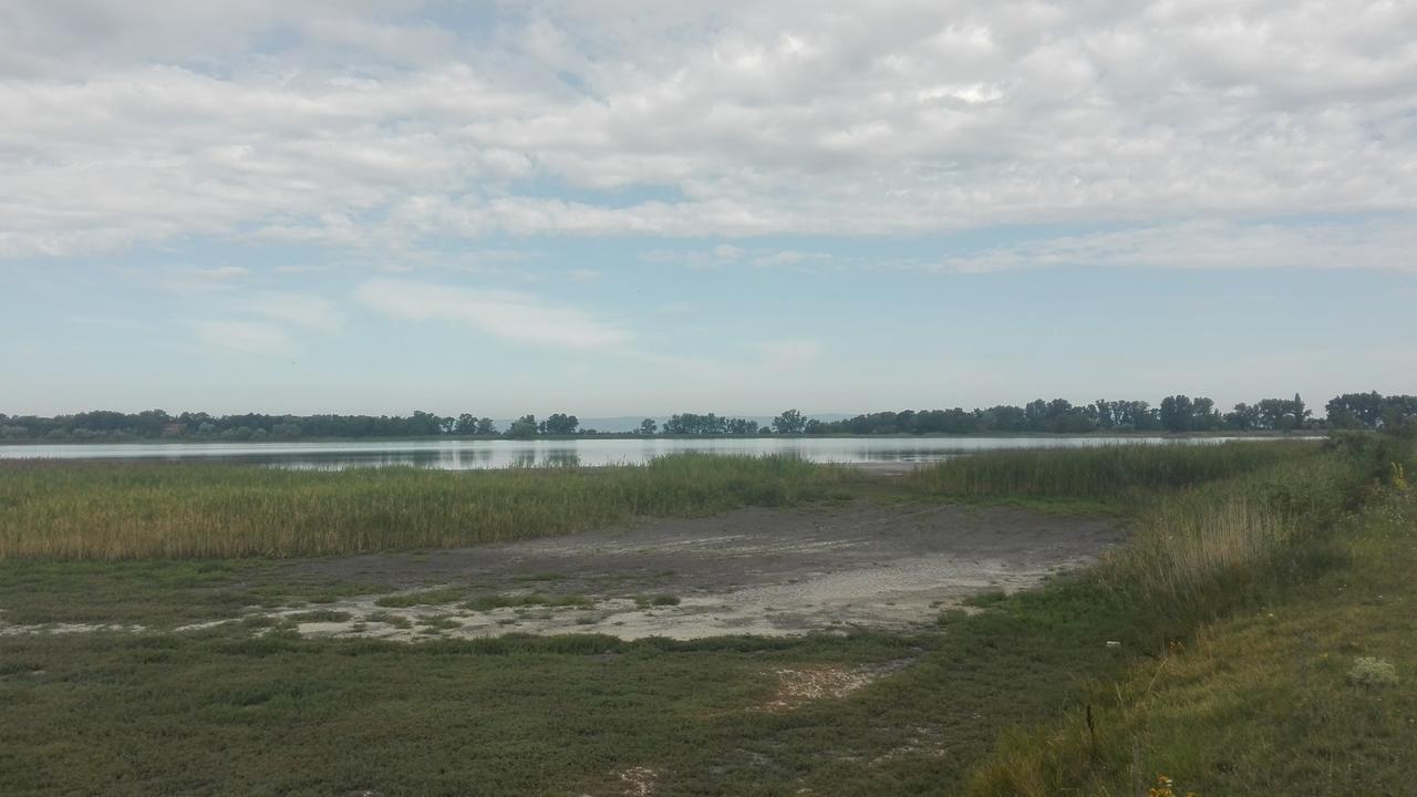 Ferienwohnungen Feldsee Illmitz Eksteriør bilde